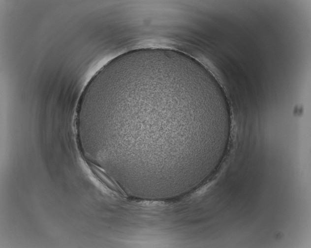 X0000113220893200909241445