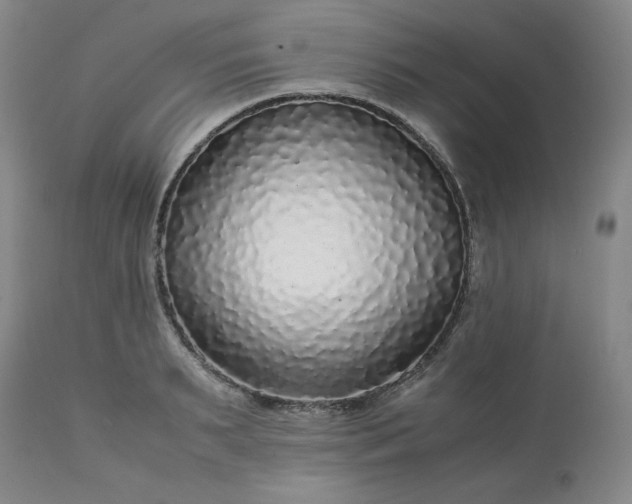 X0000113220895200909241445