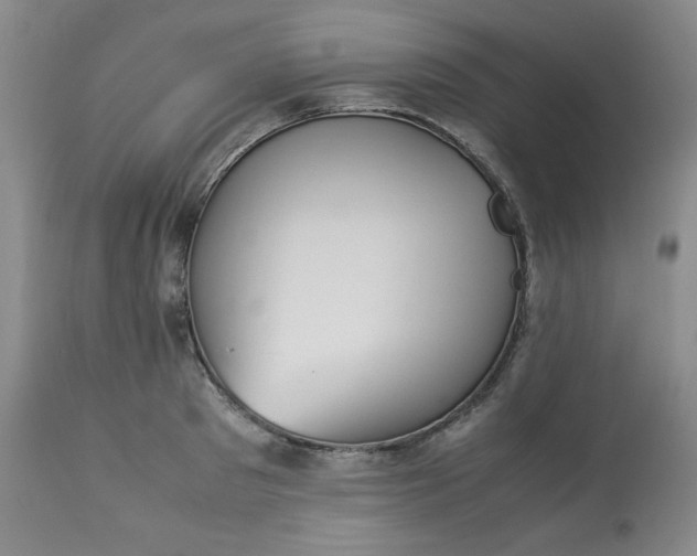 X0000113220897200909241445