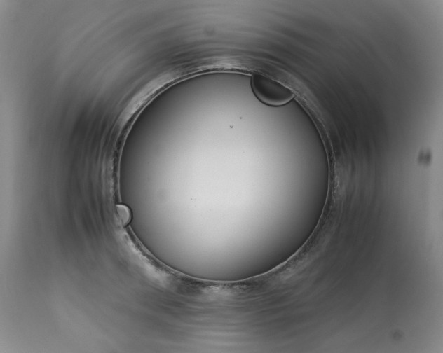 X0000113220898200909241445