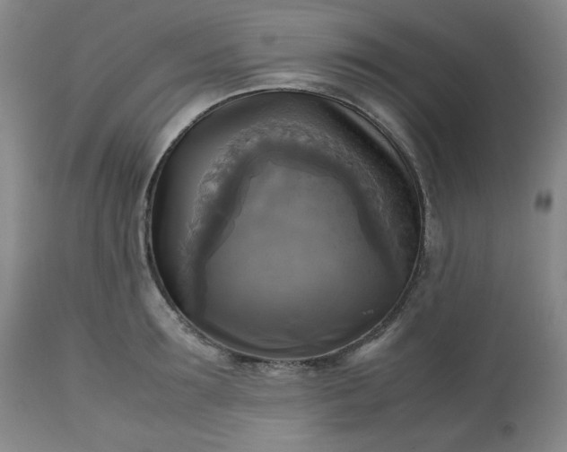 X0000113220899200909241445