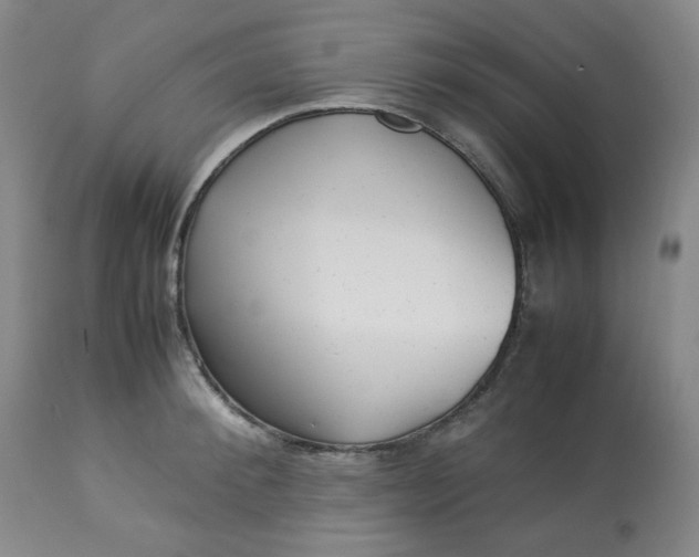 X0000113220900200909241445