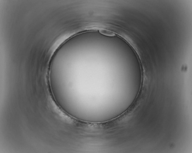 X0000113220901200909241445