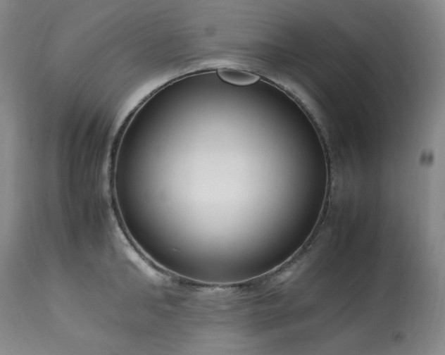 X0000113220902200909241445