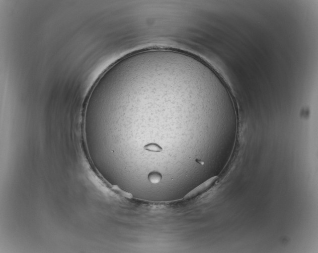 X0000113220903200909241445