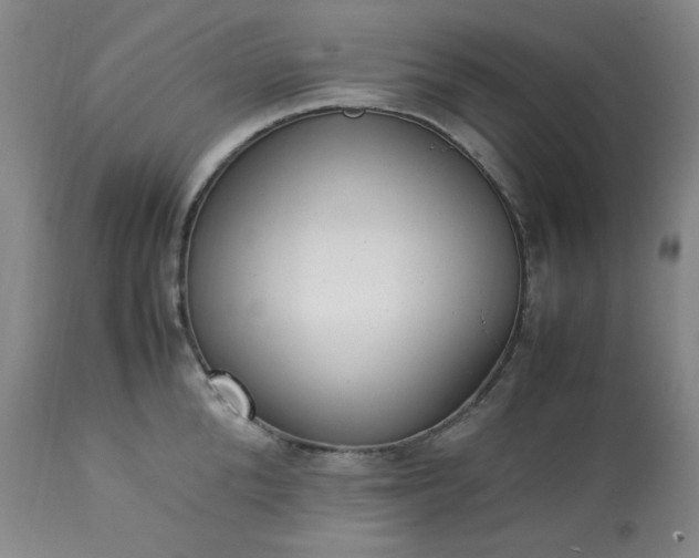 X0000113220904200909241445