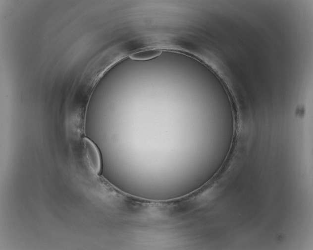 X0000113220905200909241445