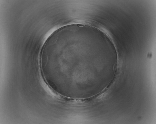 X0000113220907200909241445