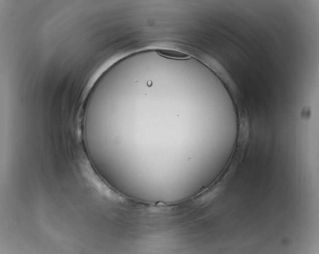 X0000113220908200909241445