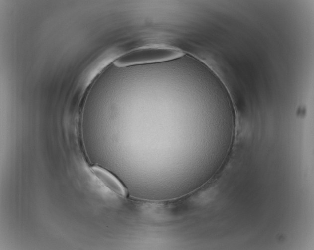 X0000113220909200909241445