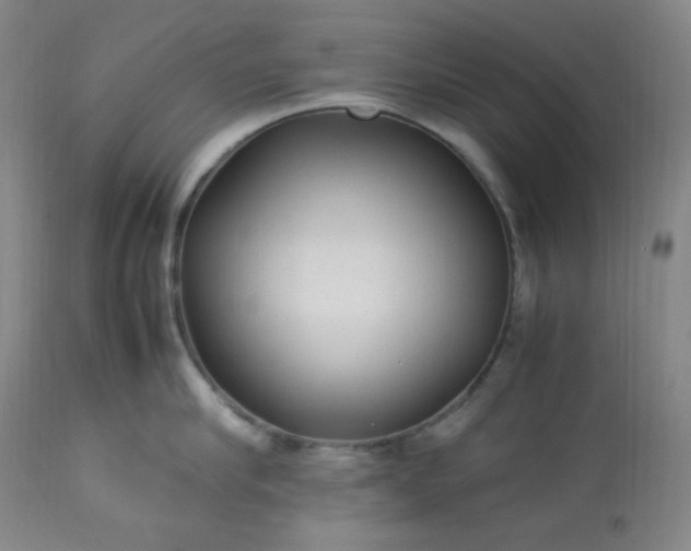 X0000113220910200909241445