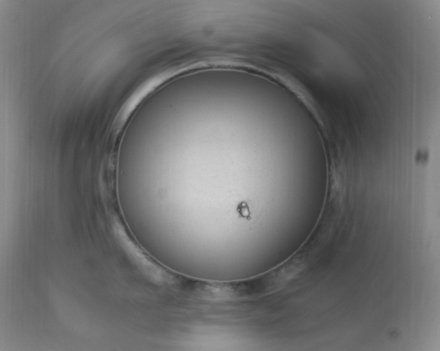 X0000113220911200909241445