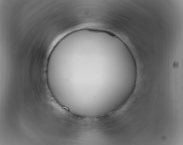 X0000113220912200909241445