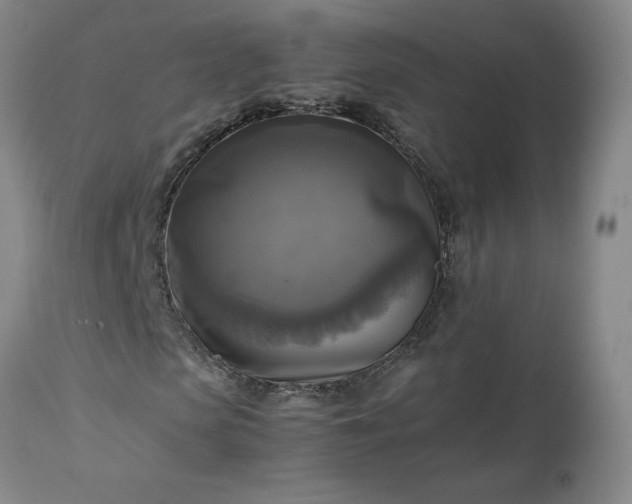 X0000113220913200909241444