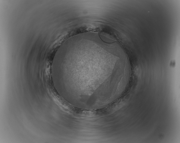 X0000113220914200909241444