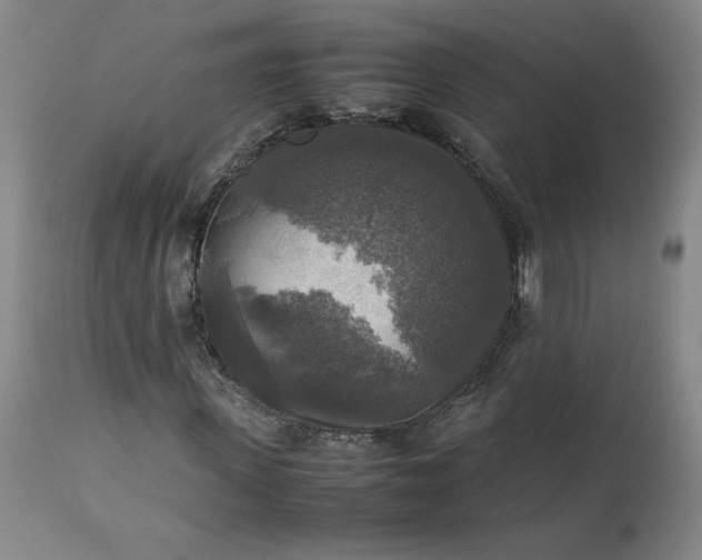 X0000113220915200909241444