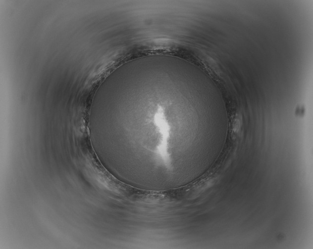 X0000113220916200909241444