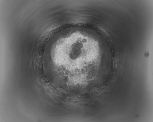 X0000113220917200909241444