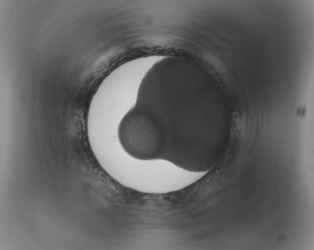 X0000113220918200909241444