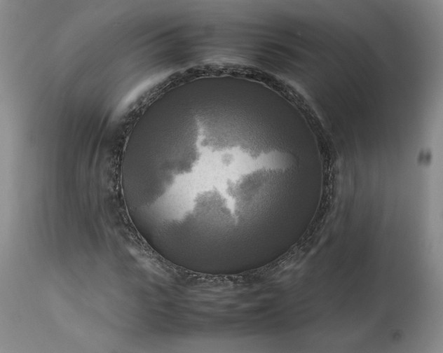 X0000113220919200909241444