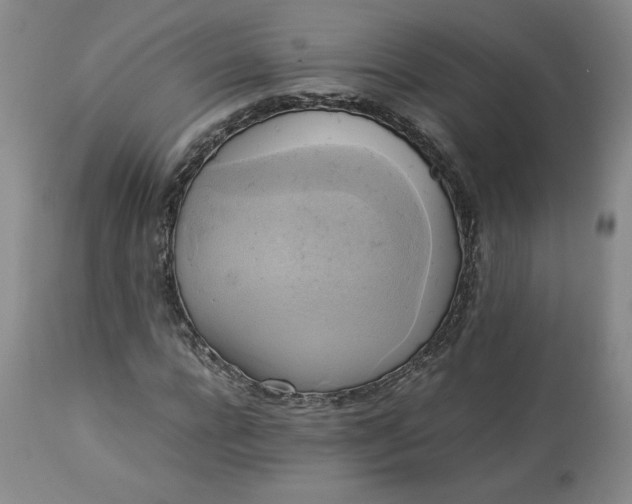 X0000113220920200909241444