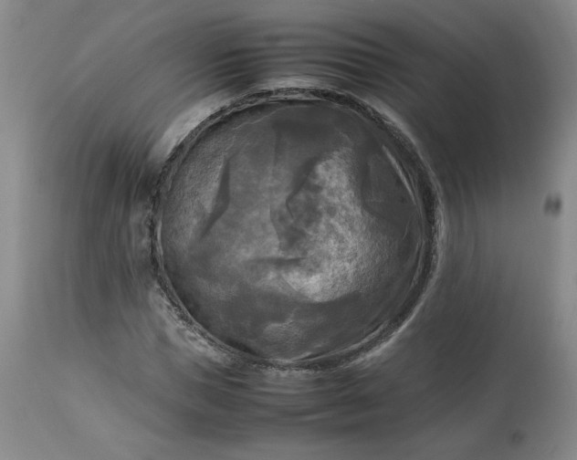 X0000113220921200909241444