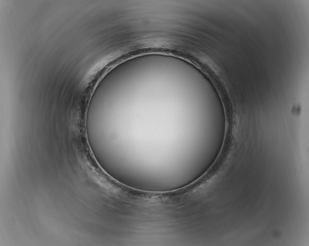 X0000113220922200909241444