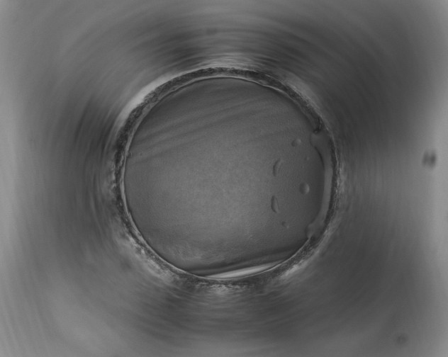 X0000113220923200909241444