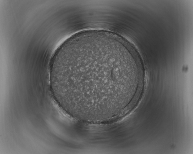 X0000113220925200909241444