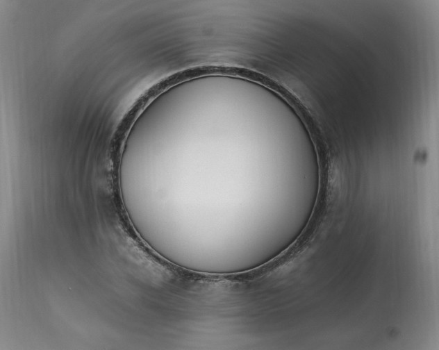 X0000113220926200909241444