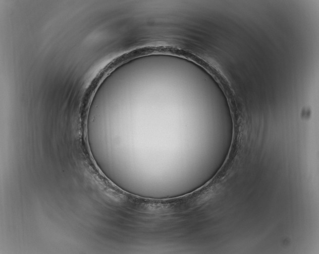 X0000113220927200909241444