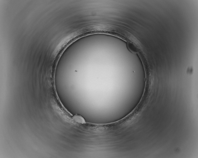 X0000113220930200909241445