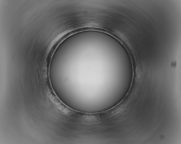 X0000113220931200909241445