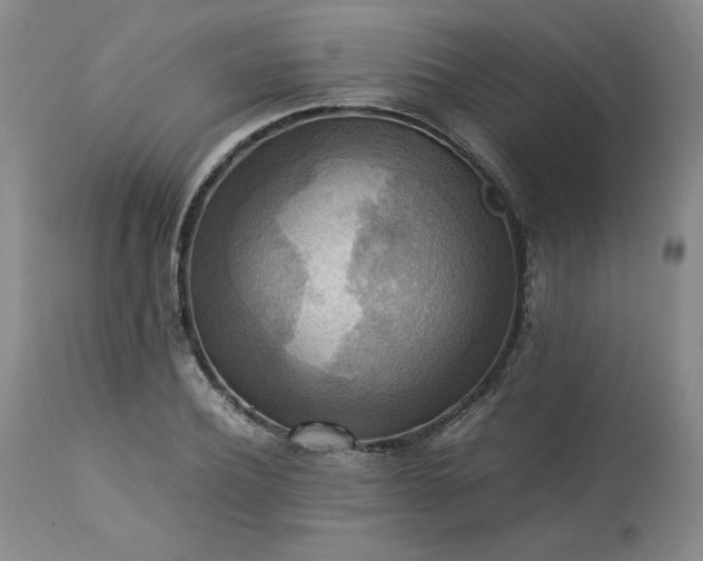 X0000113220932200909241445