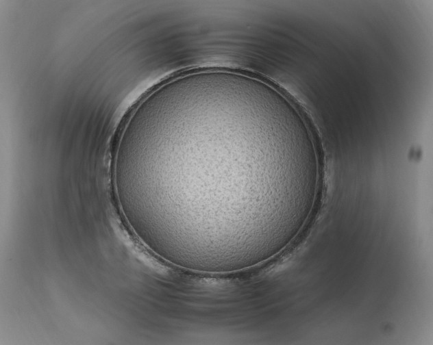 X0000113220933200909241445