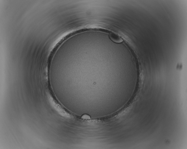 X0000113220934200909241445