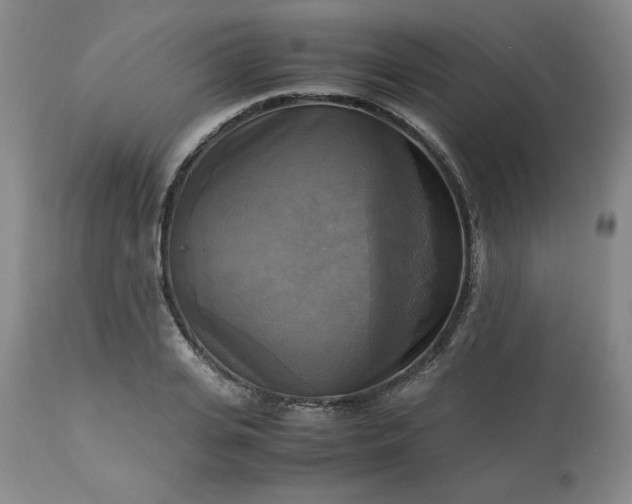 X0000113220935200909241445