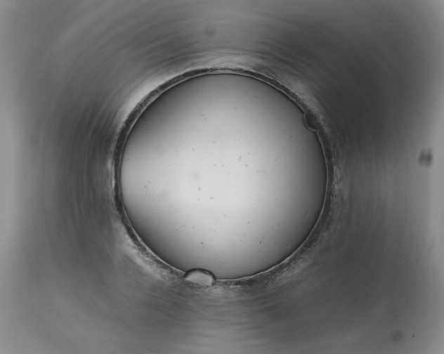 X0000113220936200909241445