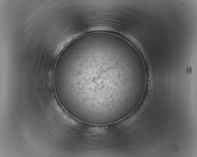 X0000113220937200909241445