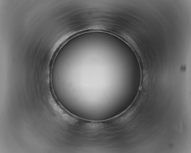 X0000113220939200909241445