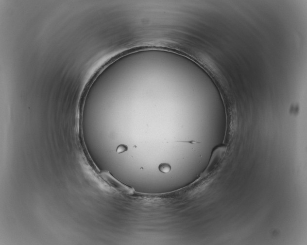 X0000113220940200909241445