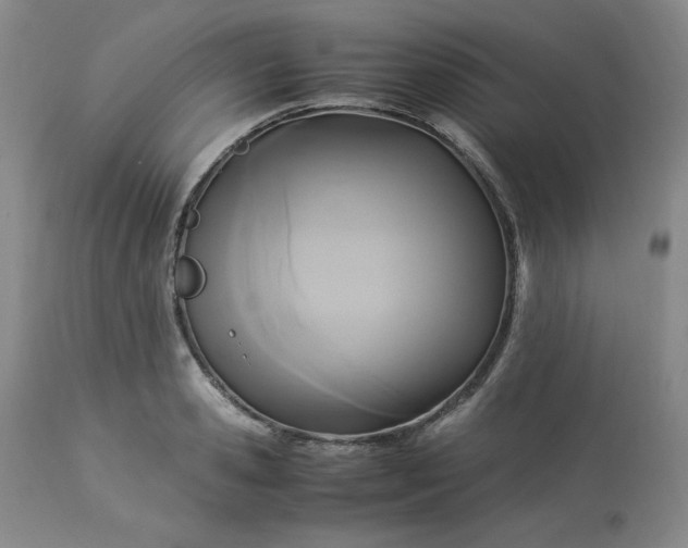 X0000113220941200909241445