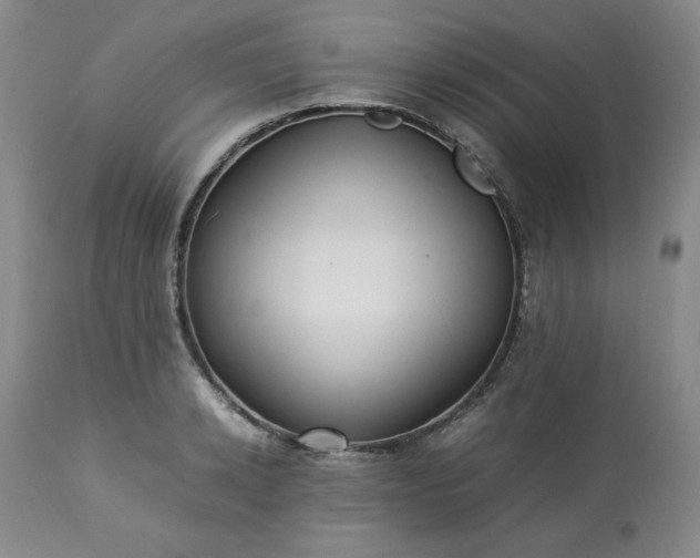 X0000113220942200909241445