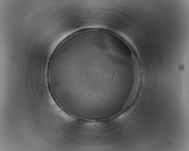 X0000113220943200909241445