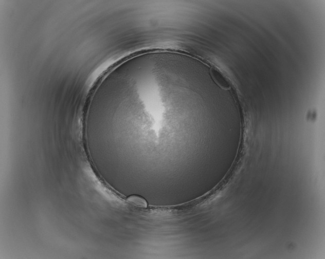 X0000113220944200909241445