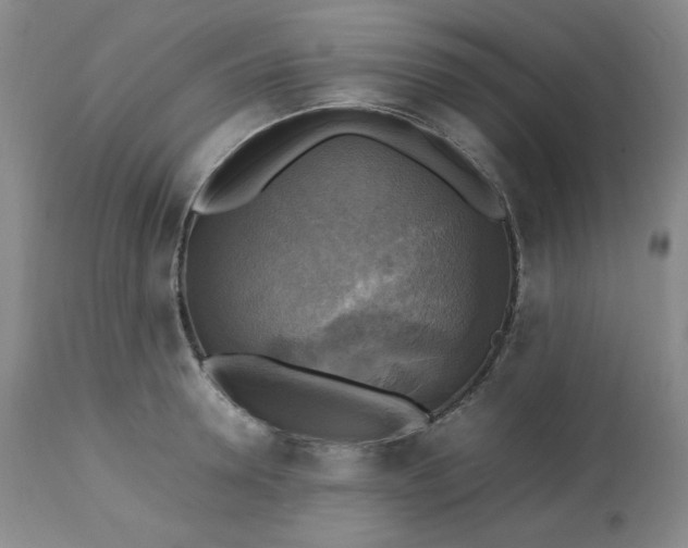 X0000113220946200909241445