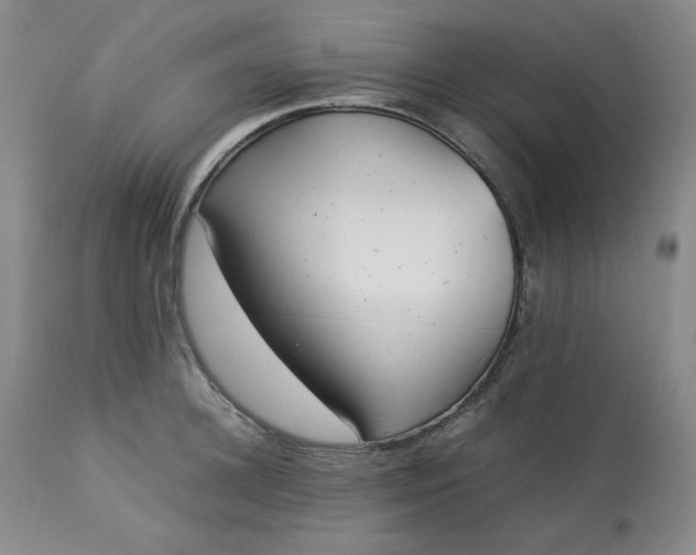 X0000113220948200909241445