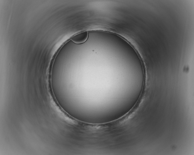 X0000113220949200909241445