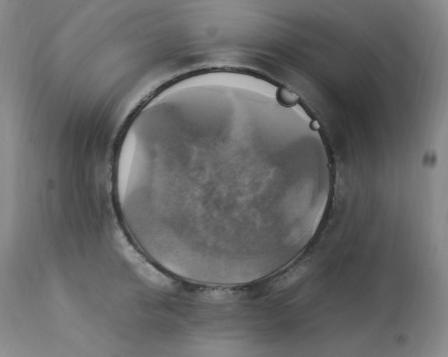 X0000113220950200909241445