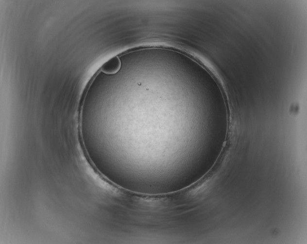 X0000113220951200909241445